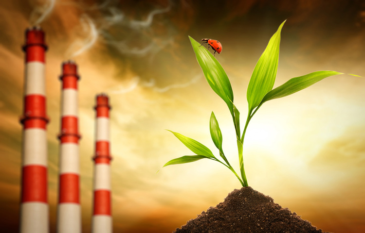 Our Disbursa Software